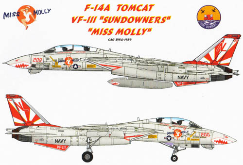 f14a tomcat. F-14A Tomcat, USN VF-111
