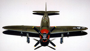 av_hasegawa_p-47-5.jpg (16493 bytes)