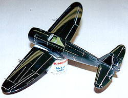 av_nmf-3.jpg (21300 bytes)