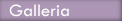 galleria-unlit.jpg (3283 bytes)