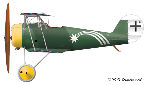 pfalz_dviii.jpg (43428 bytes)