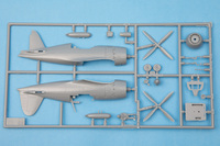 Hasegawa 1/72 Mitsubishi J2M3 Raiden (Jack) Type 21 "302nd Flying Group Combo"