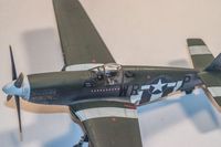 hasegawa_p51wrp-05.jpg