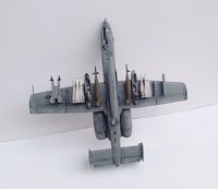 Hasegawa 1/72 A-10C "Flying Razorbacks" 6
