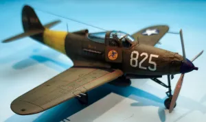 Arma 1/72 P-39 Airacobra Reconnaissance
